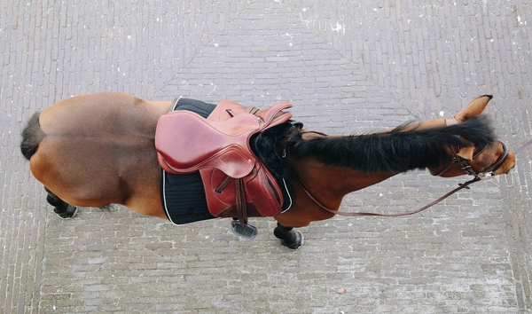 Kentucky anatomiczna podkładka pod siodło obszyta futrem - czarna