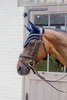 Kentucky nauszniki Wellington Diamond Rope - granatowe