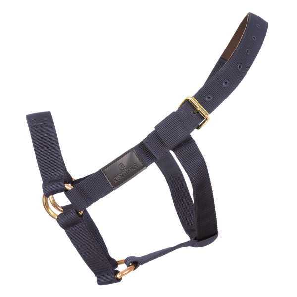 Kentucky kantar Heavy Duty - granatowy