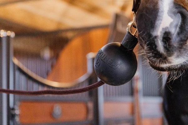 Kentucky Rubber Ball Protection - gumowa kula ochronna do uwiązów i ściany - czarna