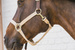 Kentucky kantar Nylon Halter Breakaway - beżowy