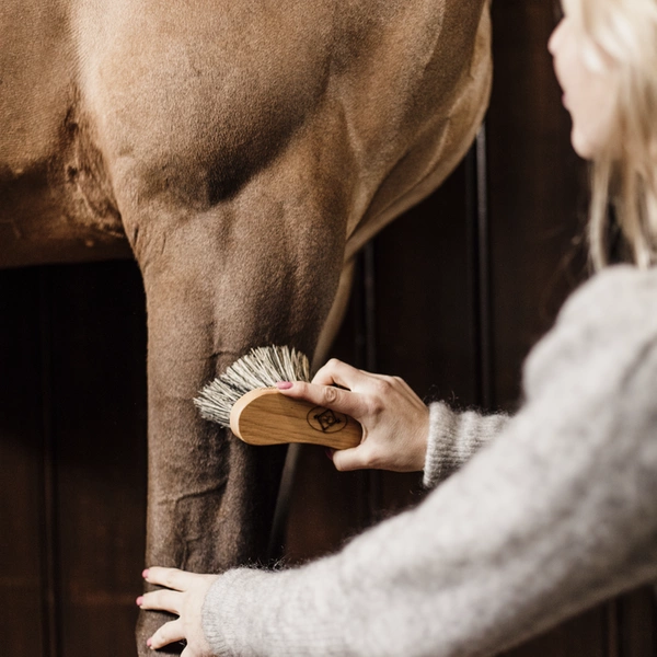 Szczotka z długim włosiem do sierści-hard- Kentucky Grooming Deluxe