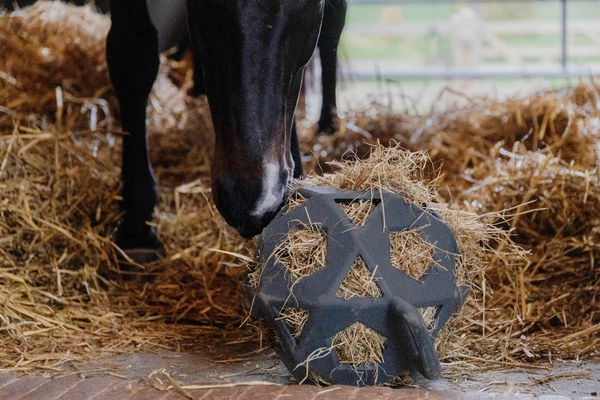 Kentucky elastyczna piłka na siano Relax Horse Play & Hay Ball - grafitowa