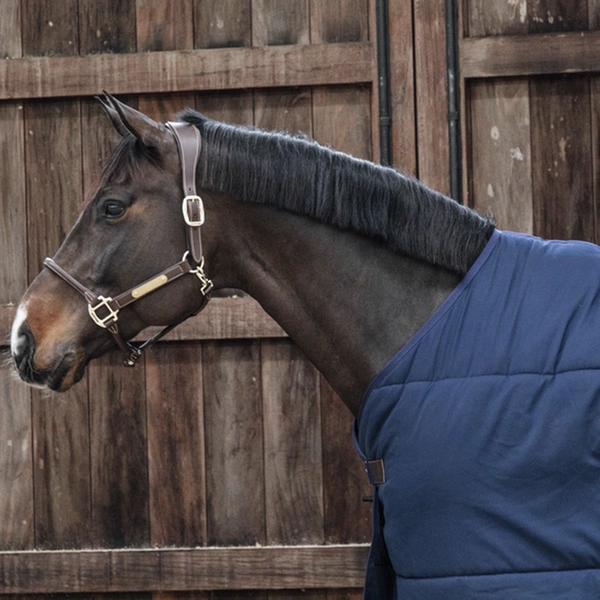 Podderka Classic Kentucky 100g