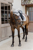 Kentucky czaprak Diamond Rope - szary