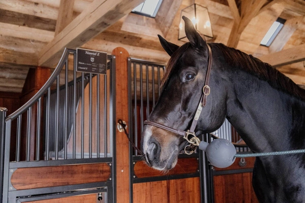 Kentucky Rubber Ball Protection - gumowa kula ochronna do uwiązów i ściany - szara