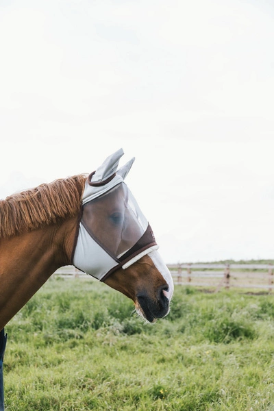 Kentucky maska na owady Skin Friendly - z uszami szara