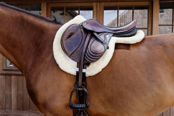 Kentucky czaprak Hunter - biały