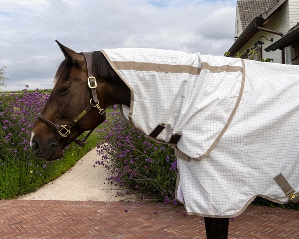 Derka Kentucky Sweet Itch Fly & Summer Sheet Comfort
