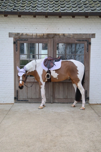 Kentucky czaprak Softshell Onion Quilt - jasny fiolet