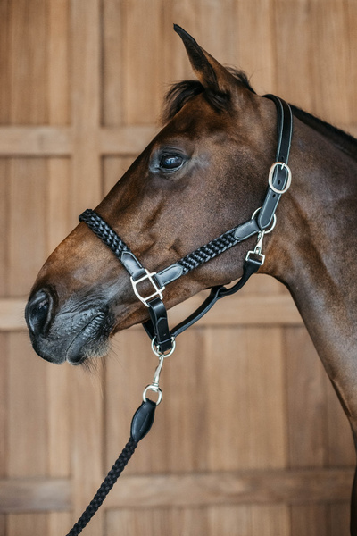 Dy'on kantar Plaited - czarny
