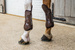 Kentucky Tendon Boots Elastic Knee Protection na przednie nogi - brązowe