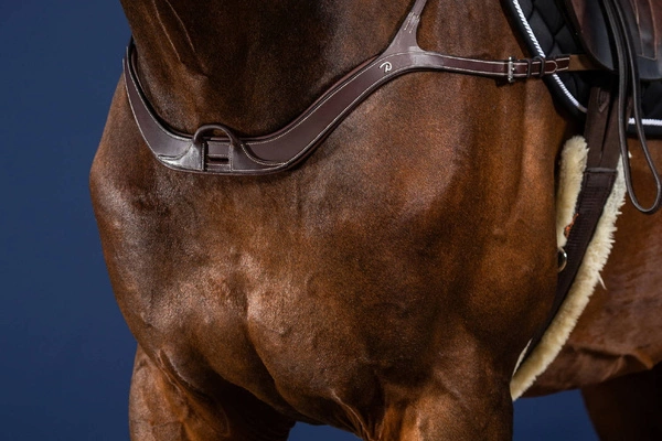 Anatomiczny skórzany napierśnik Dy'on US Jumping - czarny