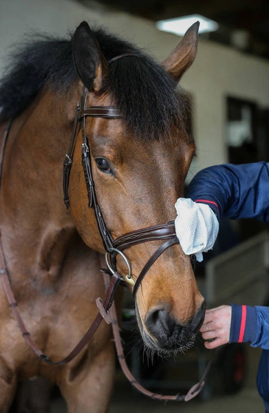 Carr & Day & Martin Rękawiczki do czyszczenia wyrobów skórzanych