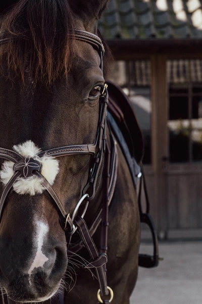 Skórzany pleciony nachrapnik meksykański Dy'on D Collection