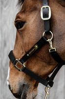 Kentucky kantar Nylon Anatomic - czarny