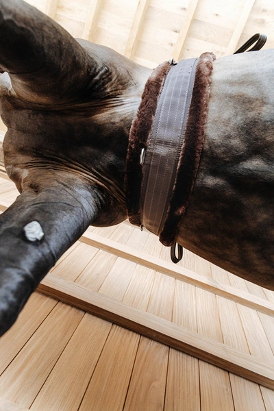 Kentucky popręg z futrem - brązowy z brązowym futrem