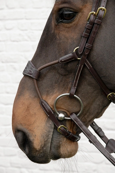 Ogłowie Dy'on Elastic Hybrid D Collection