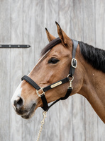 Kentucky kantar Nylon Anatomic - czarny