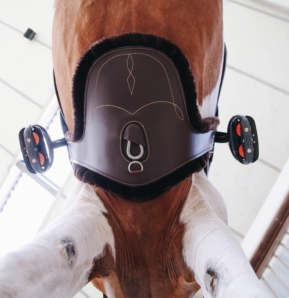 Kentucky wymienne futro do popręgu z fartuchem - brązowe