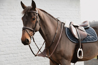 Miękki wytok Soft leather BIB Martingale Dy'on D Collection - brązowy