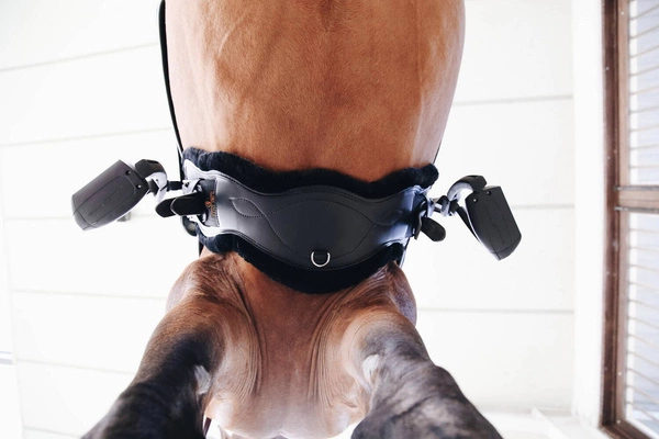 Kentucky anatomiczny ujeżdżeniowy popręg z futrem - czarny