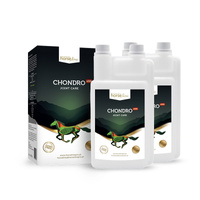HorseLinePRO Chondro+HA 2000ml wzbogacony kwasem hialuronowym