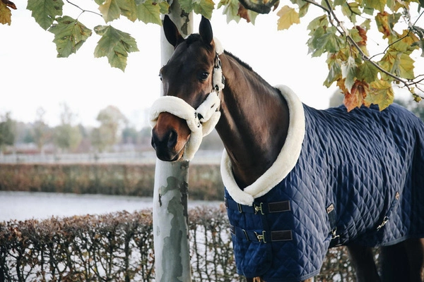 Kentucky kantar obszyty futrem - naturalny