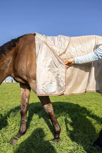 Derka Kentucky Mesh Fly Rug Comfort Classic with Neck and Belly Cover