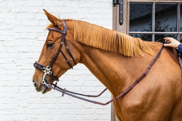 Gumowe wodze 5/8" z zapięciem na karabińczyki Dy'on Working - brązowe