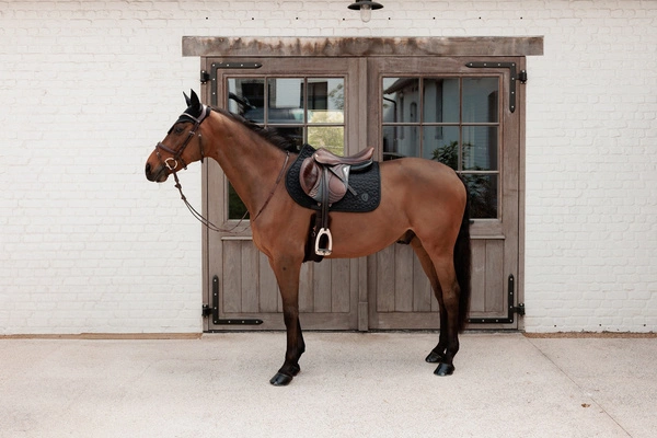 Kentucky czaprak Sparkling - czarny