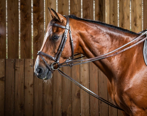 Dy'on wodza pomocnicza gumowo-skórzana Hunter Working 1/2 - czarna