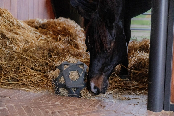 Kentucky elastyczna piłka na siano Relax Horse Play & Hay Ball - grafitowa