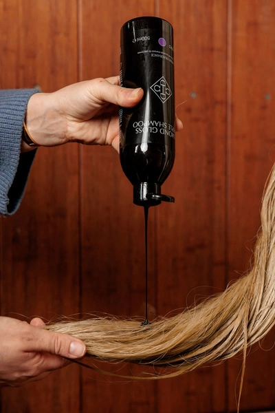 Szampon Almond Gloss Purple Shampoo 500 ml - Kentucky Grooming Deluxe