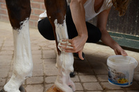 Veredus glinka chłodząca Cool Clay 6 kg