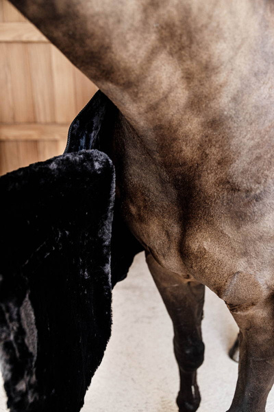Kentucky Chest Expanders Vegan Sheepskin z 1 klamrą - czarny