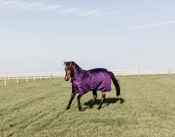 Kentucky derka padokowa All Weather Waterproof Pro 160g - fioletowa