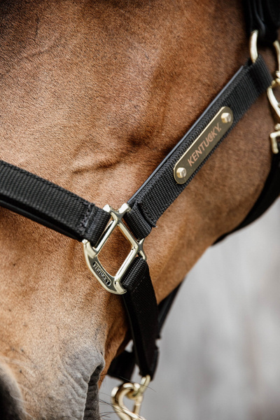 Kentucky kantar Nylon Anatomic - czarny