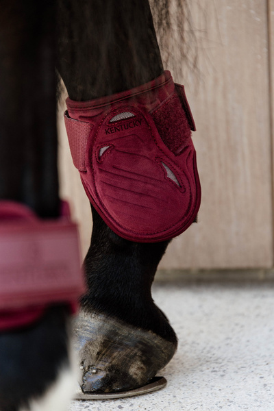 Kentucky Ochraniacze Young Horse Fetlock Velvet na zadnie nogi - bordowe