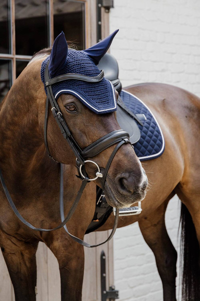 Kentucky czaprak Diamond Rope - granatowy
