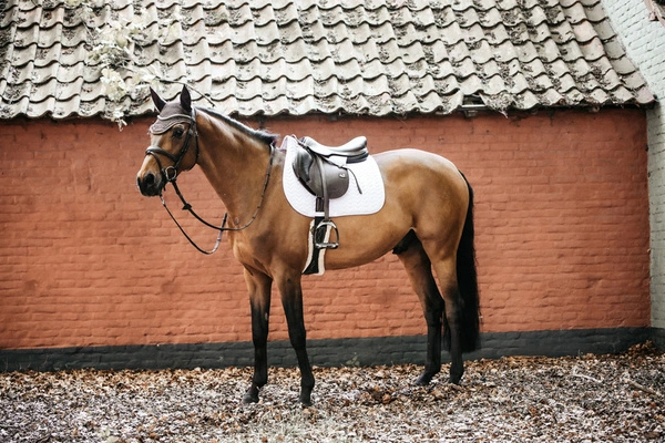 Kentucky czaprak Fishbone - biały