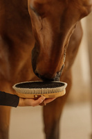 Szczotka nabłyszczająca do sierści - Kentucky Grooming Deluxe