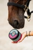 Doctor Horse Plasterek – Maść na otarcia 100ml