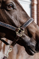 Kentucky kantar Pearls - srebrny
