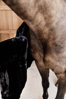Kentucky Chest Expanders Vegan Sheepskin z 1 klamrą - czarny
