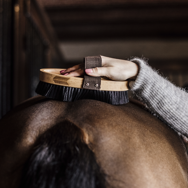 Twarda szczotka do sierści - Kentucky Grooming Deluxe