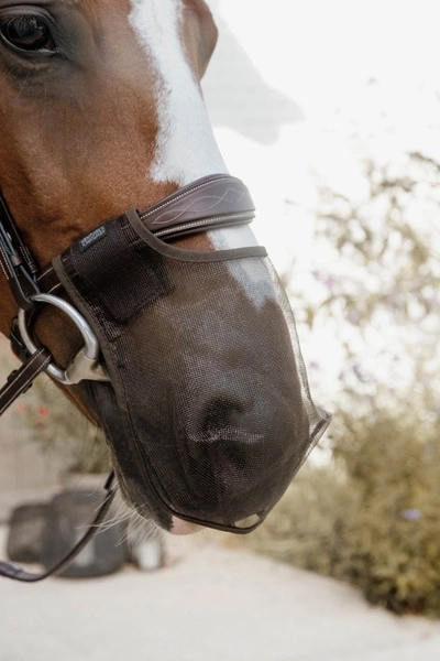 Kentucky maska na nos chroniąca przed owadami - brązowa