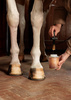 GD Hoof Oil Shine 500ml bezbarwny - Kentucky Grooming Deluxe 