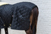 Kentucky derka stajenna Comfort 100g - czarna