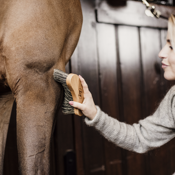 Szczotka z długim włosiem do sierści-hard- Kentucky Grooming Deluxe